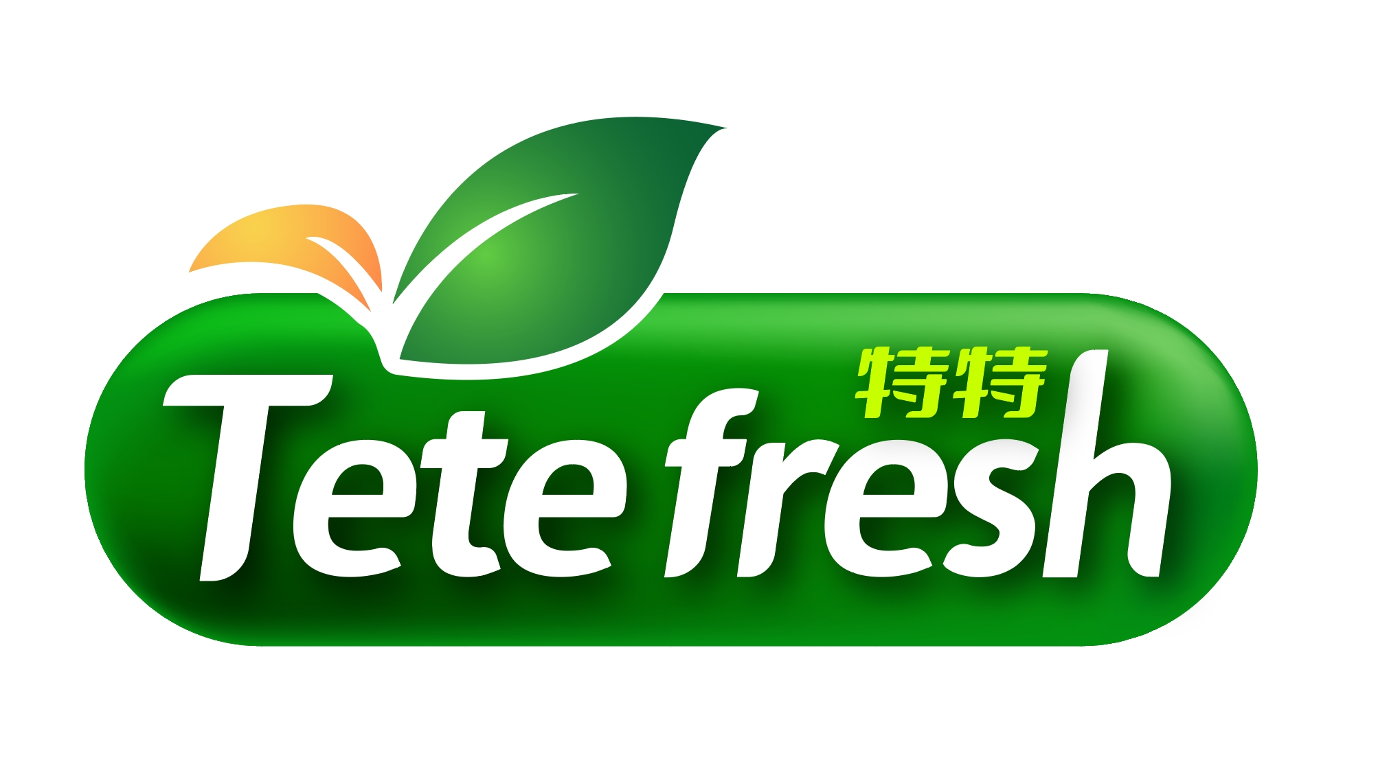 Linyi Tete Trading Co., Ltd. logo