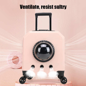 Многоцветная прозрачная тележка для часов, для кошек, домашних животных, с универсальными колесами и застежкой-молнией, сумка для путешествий из ткани Оксфорд для домашних животных - Product Image 3