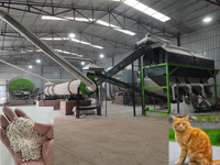 Granulateur de litière pour chat en tofu, machine à litière pour chat en bentonite entièrement automatique avec moteur, capacité de 300 kg/h, 380 V