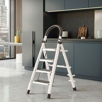 Échelle de grenier pliable robuste blanche à 4 marches, échelle de plafond escamotable de haute qualité pour l'intérieur et l'extérieur