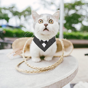 Perro esmoquin pajarita <span class=keywords><strong>Collar</strong></span> Formal boda cumpleaños Bandana para pequeño mediano grande S - Product Image 6