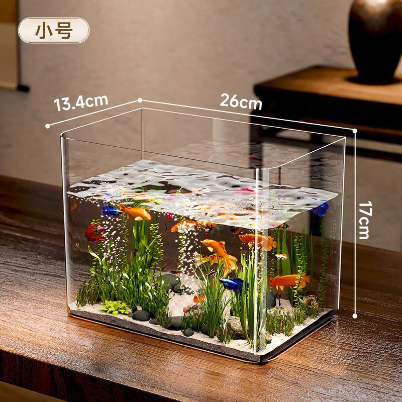 Petit aquarium nu.