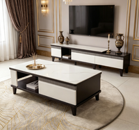 Meuble TV moderne réglable et table basse, mobilier de maison en gros avec panneau rétractable, rangement pour salon