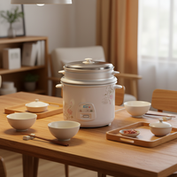 Cuisinière à riz électrique personnalisée en acier inoxydable avec revêtement antiadhésif, cuisson rapide, double cuve 1,8 L, 110 V, prix bas, OEM, design moderne