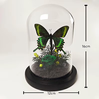 Cloche en verre papillon émeraude avec spécimen réel préservé, rose botanique, décoration de luxe pour bureau, maison, mariage, cadeau