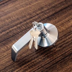 Hợp Kim Kẽm Đòn Bẩy Xử Lý SS304 Nhiệm Vụ Nặng Nề Bên Ngoài Đòn Bẩy Trim <span class=keywords><strong>Panic</strong></span> Xử Lý Với Xi Lanh Khóa - Product Image 2