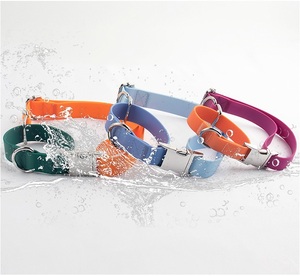 Neuestes Design Einstellbares wasserdichtes PVC-Trainings-Hunde halsband Gurtband Martingale Double Ring Custom Color Hunde halsband - Product Image 3