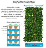 Système hydroponique complet Mur végétal avec pompe et solution nutritive hydroponique Respectueux de l'environnement et facile à utiliser
