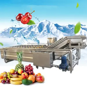 Pear Lemon Fruits Processing Line for Grape Washing Machine with Litchi Orange Sorting Equipment Avocado Drying Machinery