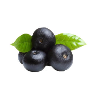 Health way Supply Acai Berry Extrakt von höchster Qualität 25% Anthocyane Pulver - Product Image 4