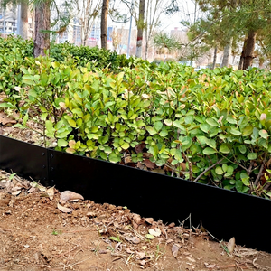 Bordure de jardin en acier rectangulaire noir de 8 pouces avec loquets, 6 pièces, bordure robuste pour l'aménagement paysager de la cour et les parterres de fleurs - Product Image 1