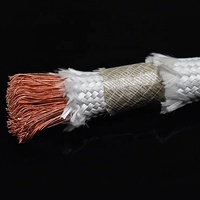16mm 25mm 35mm 50mm 70mm 500 Grad reiner Kupferdraht Glasfaser isoliertes Hoch temperatur kabel für Ofenblei verbinder