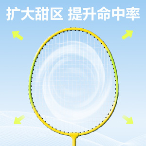 Agnite Badminton Racket FH666 Metal Frame Training Fitness <b>Set</b> Two-Pack - Product Image 4