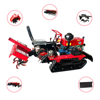 Mini-rupsbandtractor met voorblad, 25PK/35PK, rotorkopeg voor landnivellering en grondbewerking op landbouwgrond