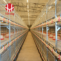 Cage à poulets de chair de type H, automatique, 4 niveaux, avec plancher à lattes en plastique, abreuvoir à tétine, courroie de fumier, OEM, haute densité