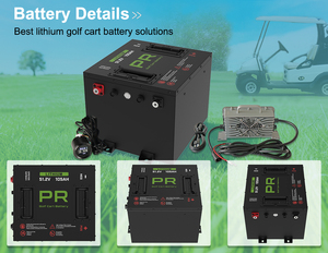 OEM Custom BMS 36V <b>48V</b> 51.2V 60V 72V 100Ah 160Ah 230Ah 300Ah LFP Golf Cart <b>Battery</b> Pack Factory Wholesale Manufacturer - Product Image 3