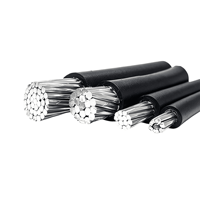 Venta Directa de Fábrica, Cable Aéreo de Polietileno Reticulado con Núcleo de Aluminio de 0.6/1kV para Construcción Industrial, JKLYJ/JKLGYJ