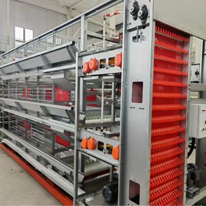 Новое крупное оборудование для производства яиц и цыплят, клетка для бройлеров, зашифрованная утолщенная, полностью автоматическая, высокопроизводительная стальная куриная ферма - Product Image 2