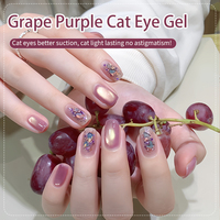 Logo personnalisé Kiwi Raisin Violet Pêche Double Rythme Cat Eye Gel Argent Réfléchissant Cat Eye Gel