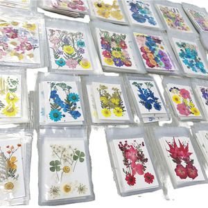 Lot de 12/15 fleurs séchées pressées artisanales en vrac pour créations en résine - Saint-Valentin et occasions de remise de diplômes - Product Image 1