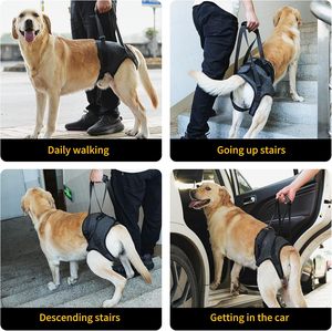 Arnês Ajustável para Cães com Suporte para as Patas Traseiras, Sling Carrier para Cães de Médio e Grande Porte - Product Image 4
