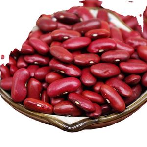Аргентина/США красная фасоль однородного цвета с низким содержанием влаги для экспорта MOQ 20mt - Product Image 3