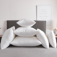 Fournisseur certifié BSCI, collection d'hôtel personnalisée, oreiller de luxe en plumes de canard blanc largement utilisé, 50x50 cm, insert d'oreiller, fabricants de coussins