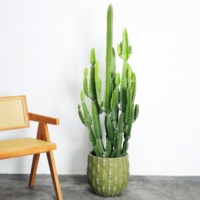 Pot de fleurs créatif en ciment motif cactus, grand calibre, décoration artistique, motif circulaire, simple, vert, crème, international, Heals