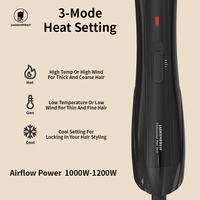 Sèche-cheveux professionnel ionique 1200W pour salon, ensemble de rouleaux, séchage, lissage, bouclage, moteur DC 3 vitesses, diffuseur portable