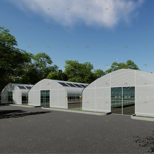 Invernadero solar agrícola del túnel de la película plástica del PE del marco de acero galvanizado caliente barato para el tomate y el pepino - Product Image 5