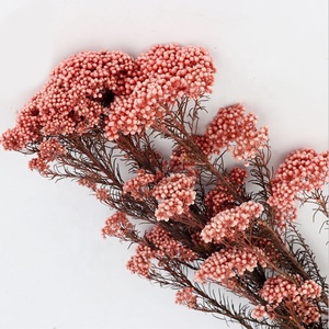Fiori di Miglio Essiccati Naturali, Decorazioni Floreali per Matrimoni - Product Image 5