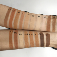 Poudre minérale imperméable de réglage de visage de logo privé compact de maquillage de correcteur de finition lisse mate pour la peau foncée