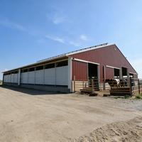 Establo para Ganado de Estructura de Acero Moderna de Ensamblaje Rápido, Establo Prefabricado Económico para Vacas, Establo para Engorde de Ganado Vacuno con Techo Impermeable