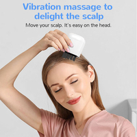 Masseur électrique du cuir chevelu à lumière rouge, peigne de massage vibrant, guide pour l'application d'huile essentielle, masseur anti-chute de cheveux, outil de soin du cuir chevelu