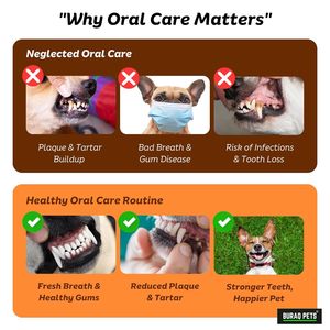<b>Pet</b> Tooth <b>Brush</b> Set Dog Cat Dental Care Kit Soft Bristle Toothbrush Finger Toothbrush for Daily Teeth Cleaning Oral Hygiene - Product Image 6