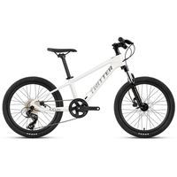 Vélo de montagne pour enfants TWITTER KID20, cadre en carbone de 20 pouces, frein à disque, amortisseur, vélo pour enfants et adolescents, cyclisme tout-terrain