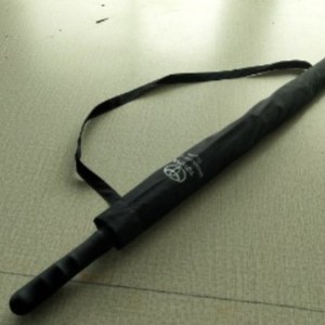 อุปกรณ์วัดรังสีสำหรับการตรวจสอบคุณภาพระดับมืออาชีพ Umbrella HS-198 - Product Image 2