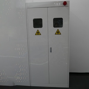 Gabinete de Acero <span class=keywords><strong>para</strong></span> Cilindros de Gas de Doble Puerta y Dos Botellas <span class=keywords><strong>para</strong></span> <span class=keywords><strong>Laboratorio</strong></span>, Industria Química y Medicina, con Sistema de Alarma - Product Image 4