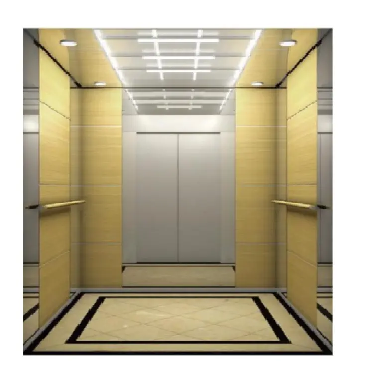 Ev için ev asansör ile düşük MOQ üretici son ısmarlama asansör Fuji üreticileri