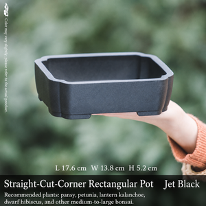 Pot Bunga Resin Gaya Cina Kreatif Bentuk Persegi untuk Anggrek, Sukulen & Kaktus dengan Desain Pengatur Akar untuk Balkon dan Meja - Product Image 3