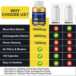 Cápsulas de Gel Suave con MACA y Ashwagandha, Potenciador de Energía Natural de Marca Privada para Hombres, Bajo en Carbohidratos y Azúcar, Refuerzo Inmunológico - Product Image 3