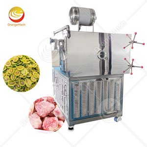 ORME Maquina Liofilizador Do Leite Hecho En Chine Lyophilisateur de poulet Lyophilisateur de fruits Prix de la machine - Product Image 1