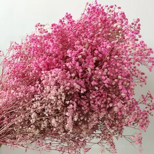 Bouquet de fleurs artificielles séchées colorées pour la maison, fleurs de Gypsophila conservées, vente en gros