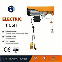 Alat Angkat Listrik Mini Tanpa Kabel 110V 220V Anti Karat, Tahan Lama, dan Senyap untuk Gudang dan Perusahaan Periklanan