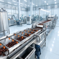 Op maat gemaakte complete productielijn voor jujubepasta met automatische dadelpulpmachine