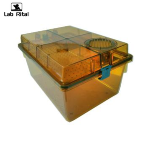 Système de cage ventilée modulaire IVC pour rongeurs, lapins, <span class=keywords><strong>animaux</strong></span> de laboratoire, cage en acier inoxydable - Product Image 6