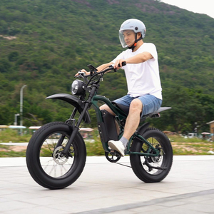 Nouvelle Moto Électrique Tout-Terrain pour Adultes, Moteur Haute Vitesse 1000W, Pneus Larges 20 Pouces, 48V 15Ah, Vélo Électrique Tout-Terrain - Product Image 6