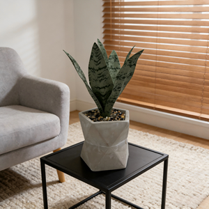 Maceta de Cemento con Remolino y Follaje Tropical Artificial - Decoración Moderna para Sala de Estar - Product Image 4
