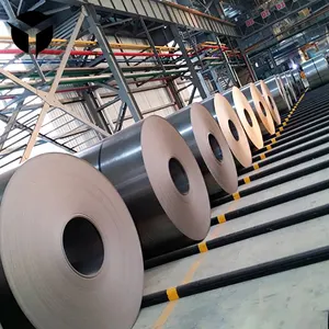 0.6*1000mm Cold Rolled Steel Dc01 Dc02 Dc03 Spcc Cold Rolled Steel Plate/sheet/coil/strip Manufacturer