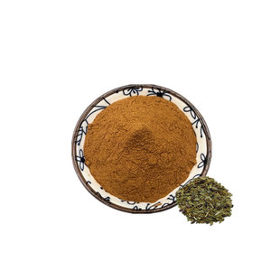 Pó de Ilex Paraguariensis de Alta Qualidade Extrato de <span class=keywords><strong>Yerba</strong></span> <span class=keywords><strong>Mate</strong></span> Marca Privada Chá <span class=keywords><strong>Yerba</strong></span> <span class=keywords><strong>Mate</strong></span> Atacado Pó de <span class=keywords><strong>Yerba</strong></span> <span class=keywords><strong>Mate</strong></span> - Product Image 1